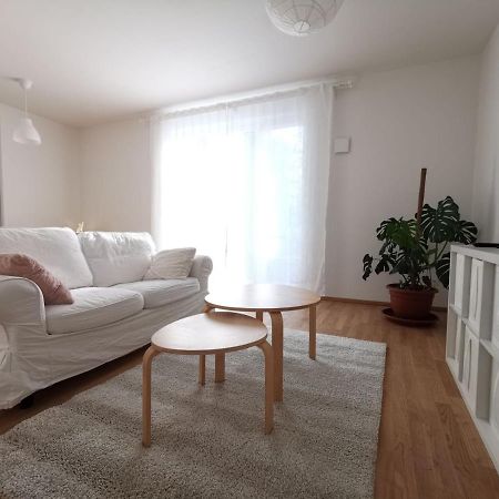 Gemuetliches Privatzimmer In Geraeumiger Gemeinschaftswohnung 드레스덴 외부 사진