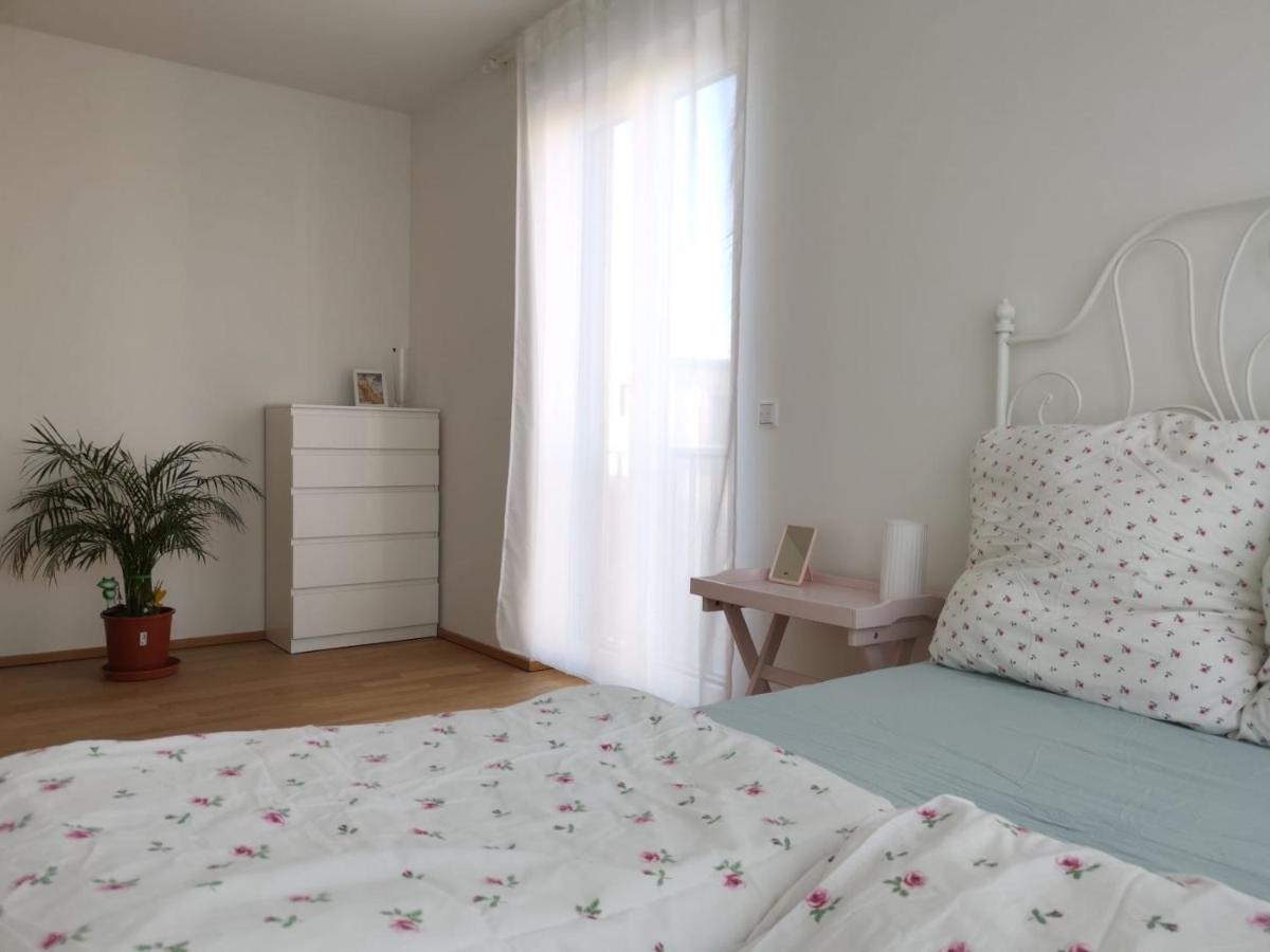 Gemuetliches Privatzimmer In Geraeumiger Gemeinschaftswohnung 드레스덴 외부 사진