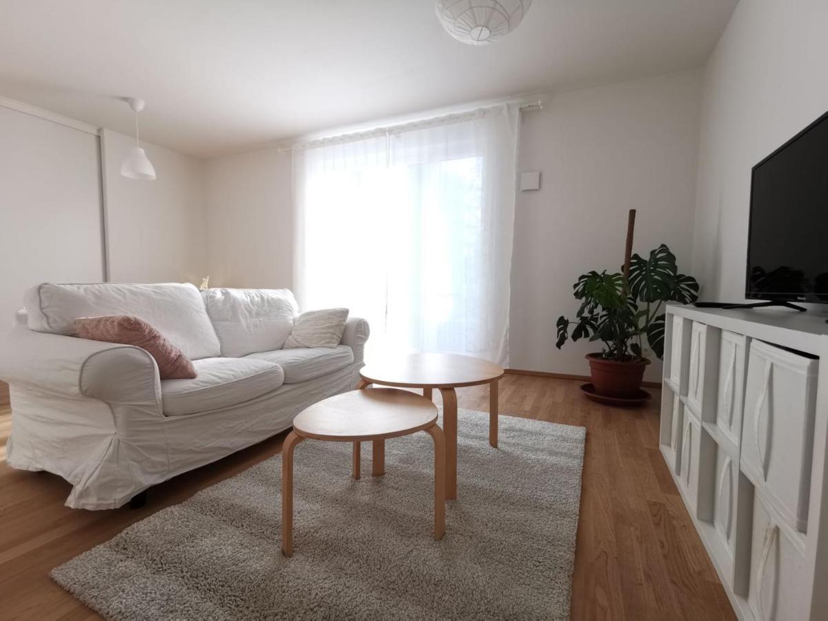 Gemuetliches Privatzimmer In Geraeumiger Gemeinschaftswohnung 드레스덴 외부 사진